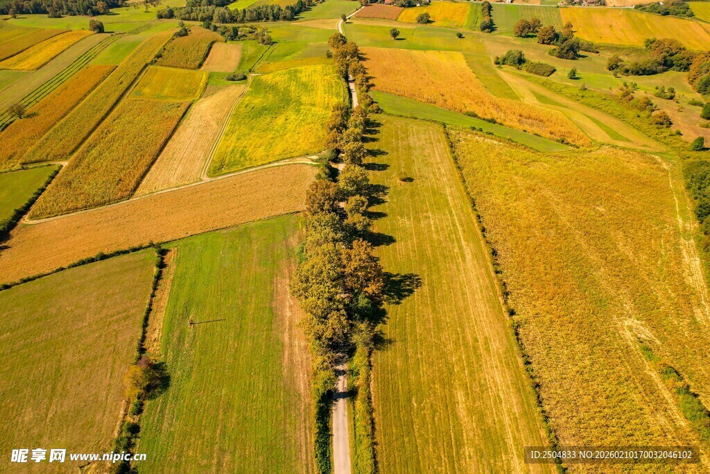 秋日田野航拍美景