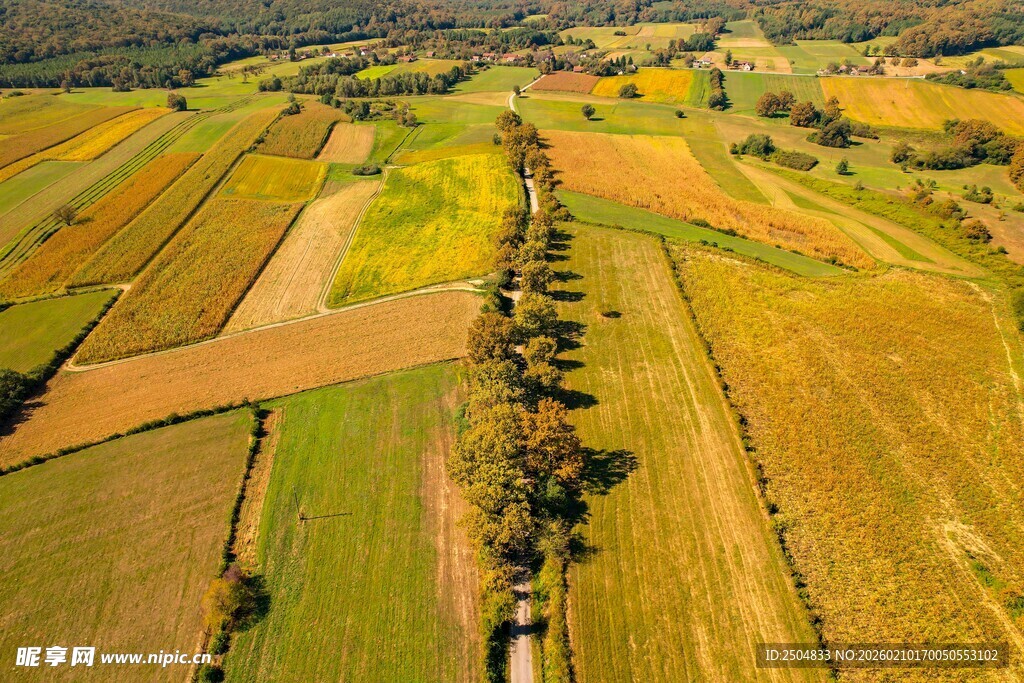 秋日田野航拍美景