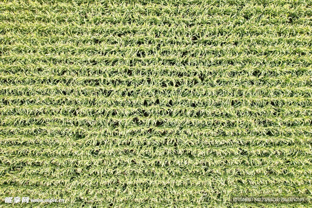 浅绿色纹理地毯特写