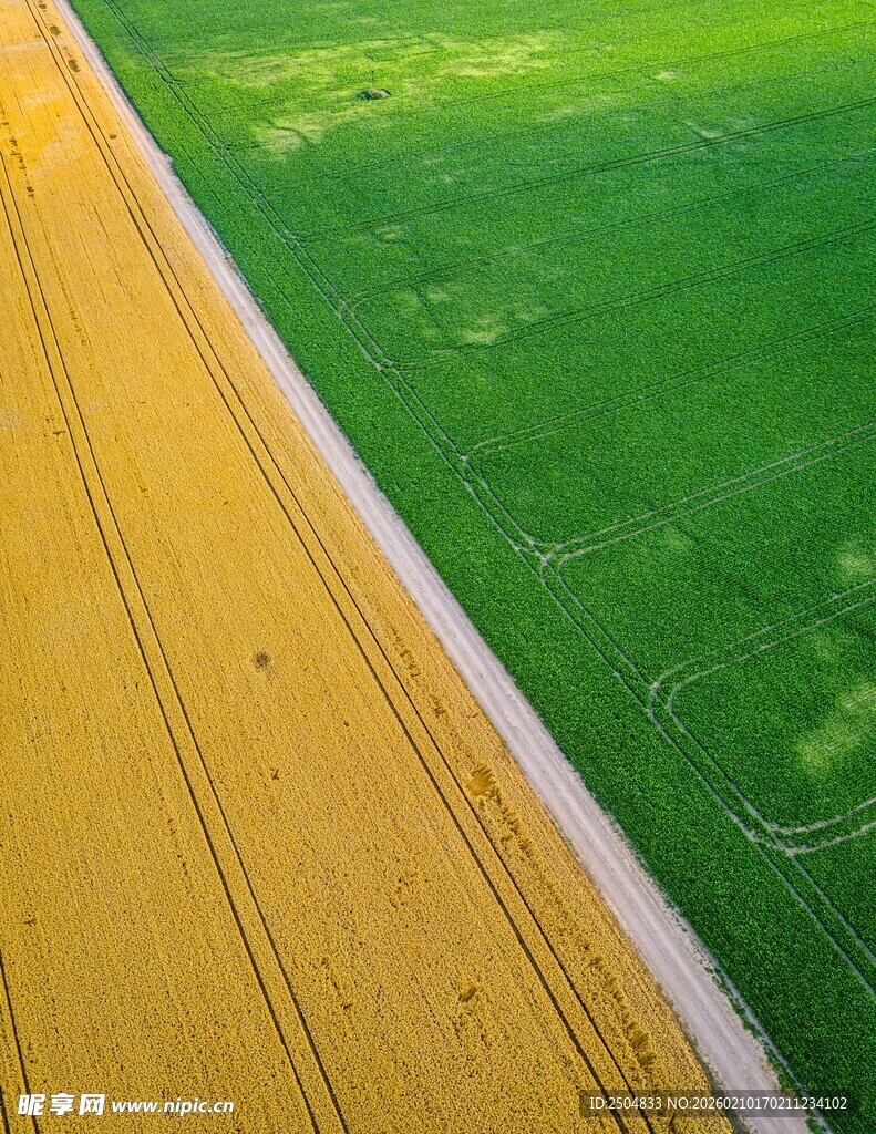 黄绿相间的跑道俯视图