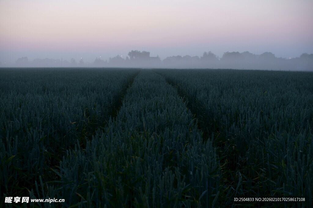 田野暮色中的阡陌小道