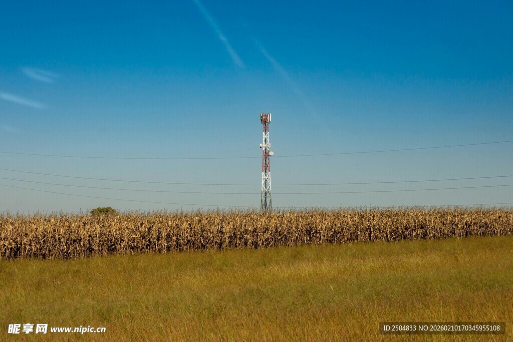 田野中的高耸通信塔