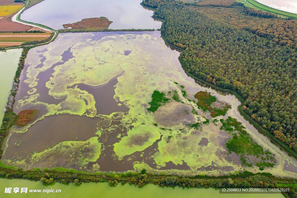 俯瞰绿意盎然的湿地景观