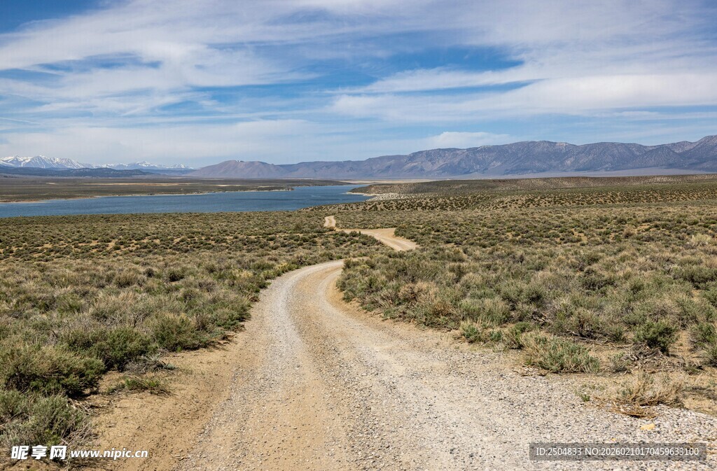 荒野中的蜿蜒土路