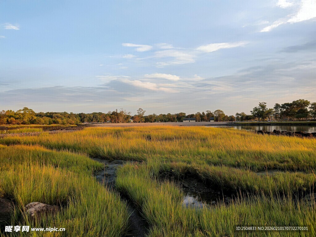夕阳下的广袤湿地景观