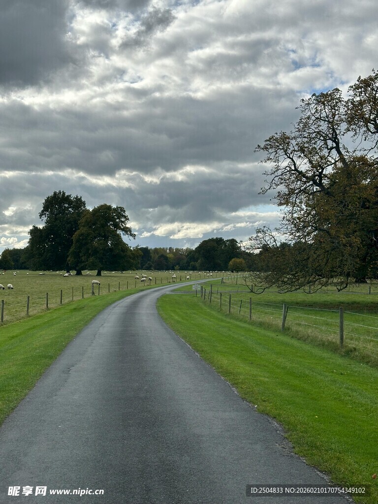 乡村蜿蜒公路 绿意盎然