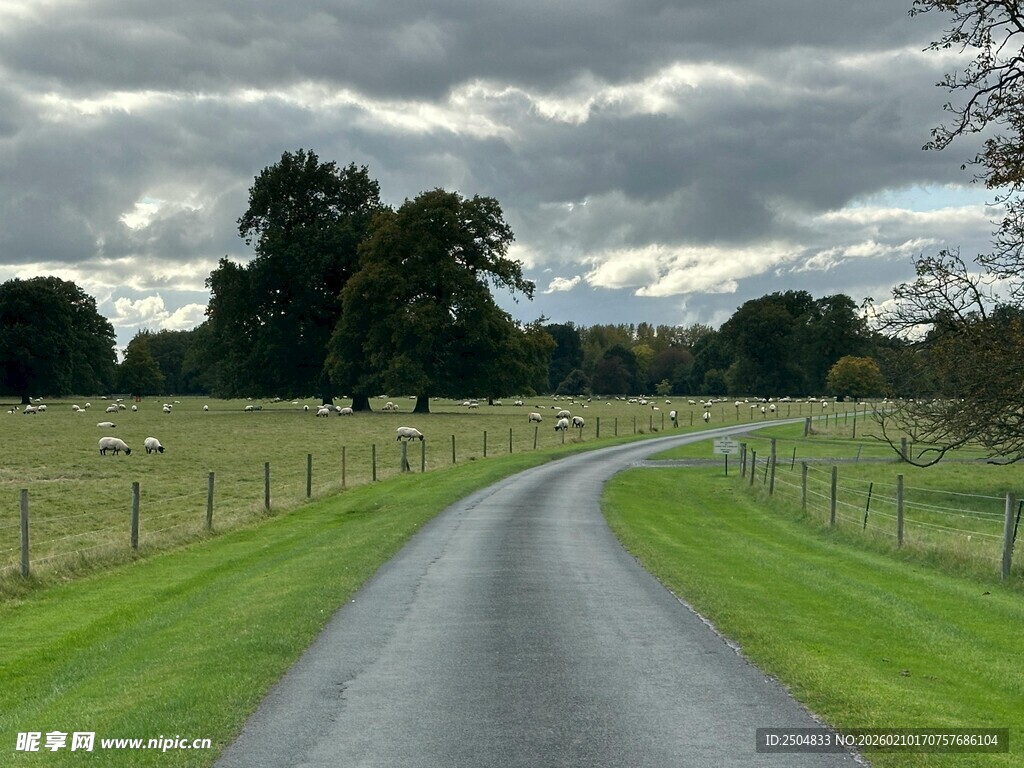 乡村公路旁的田园风光