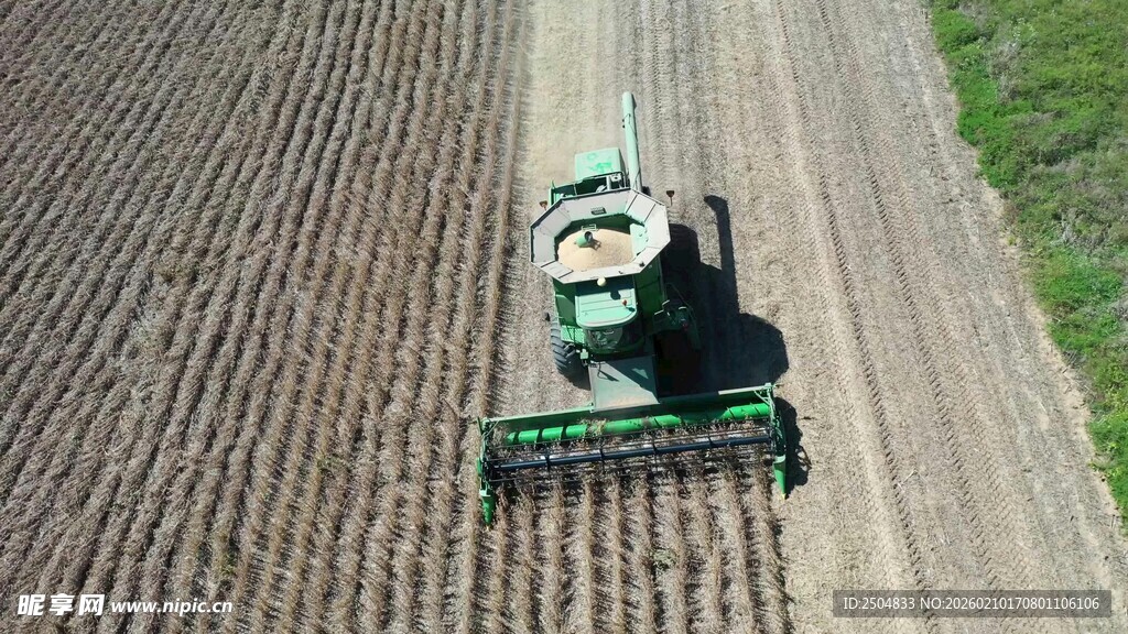 农田中作业的绿色播种机