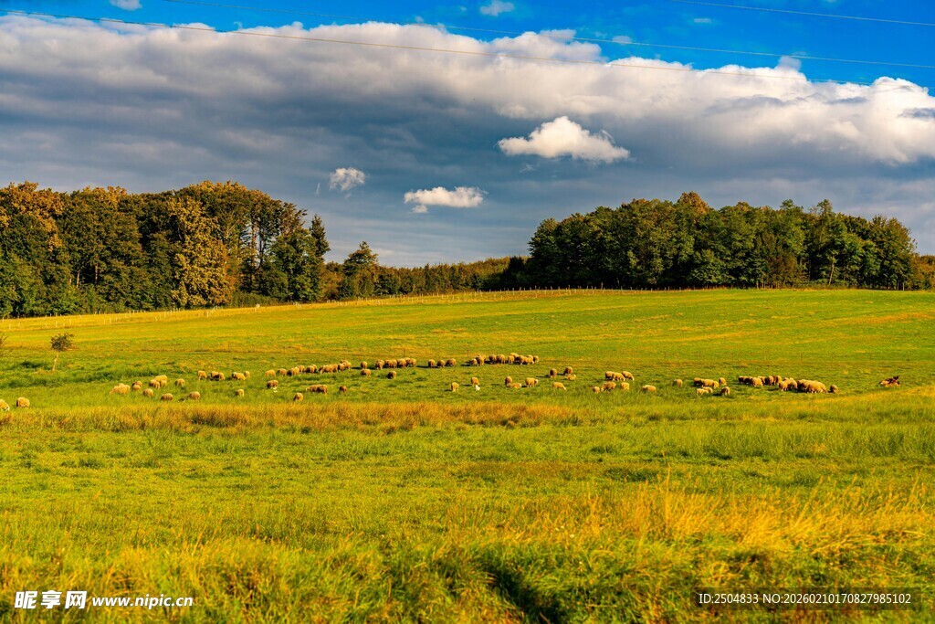 秋日广袤原野风光