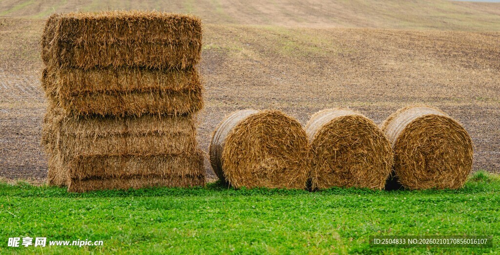 田野中的干草垛