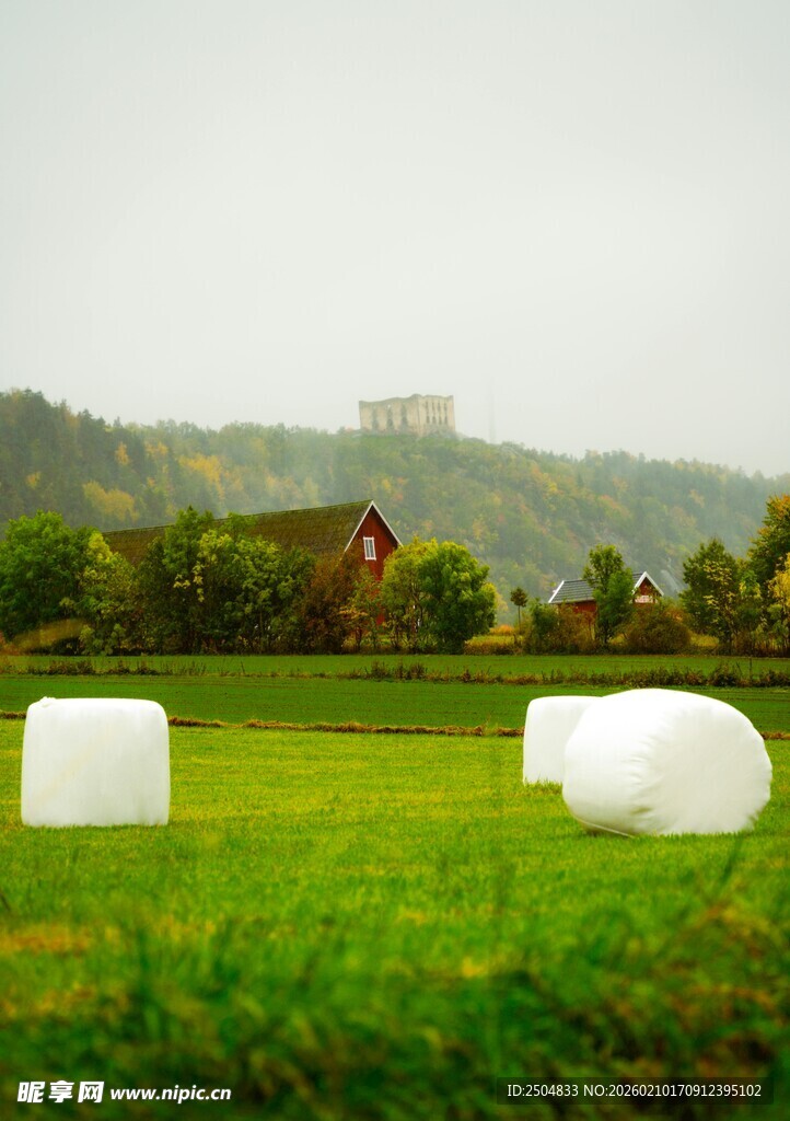田园草地中的白色草垛