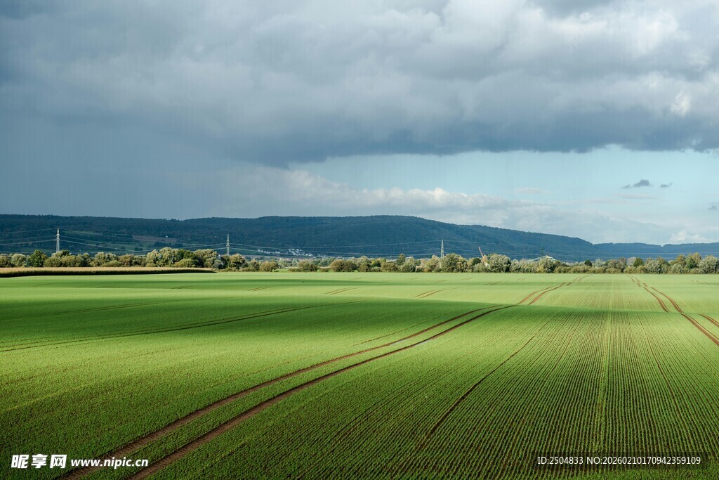 广袤绿野与天际乌云景观