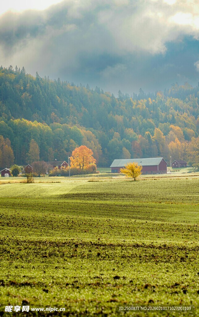 秋日田野风光美景
