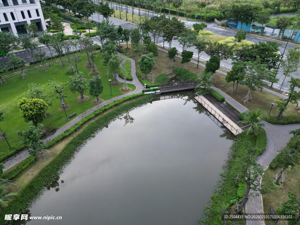 校园内的静谧池塘景观