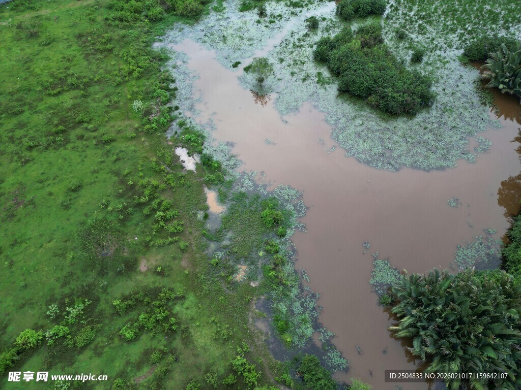 空中俯瞰绿色田野中的小河
