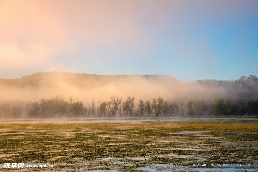 晨雾中的原野与朦胧山林