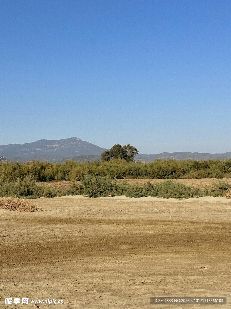 旷野风光 远处孤树与山峦