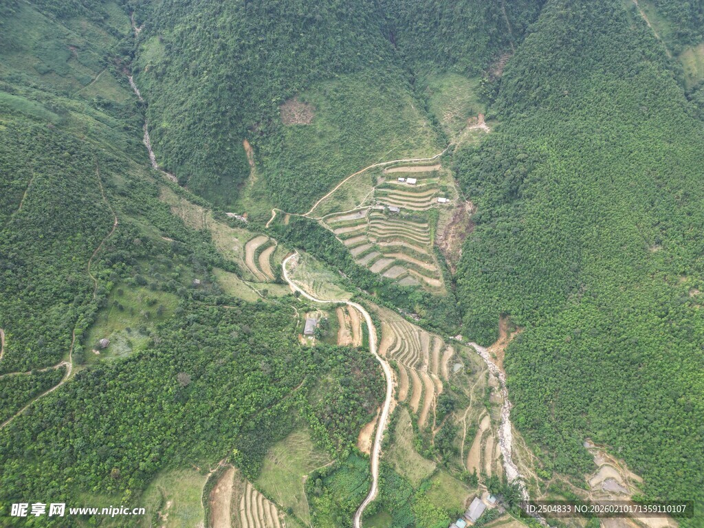 航拍山间蜿蜒的翠绿梯田