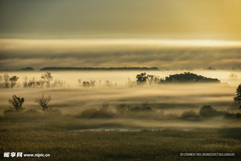 晨雾中的静谧原野风光