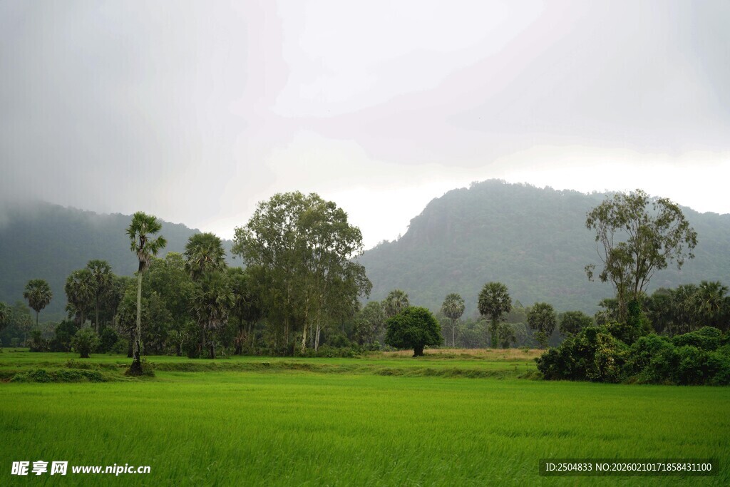 绿野山林间的自然美景