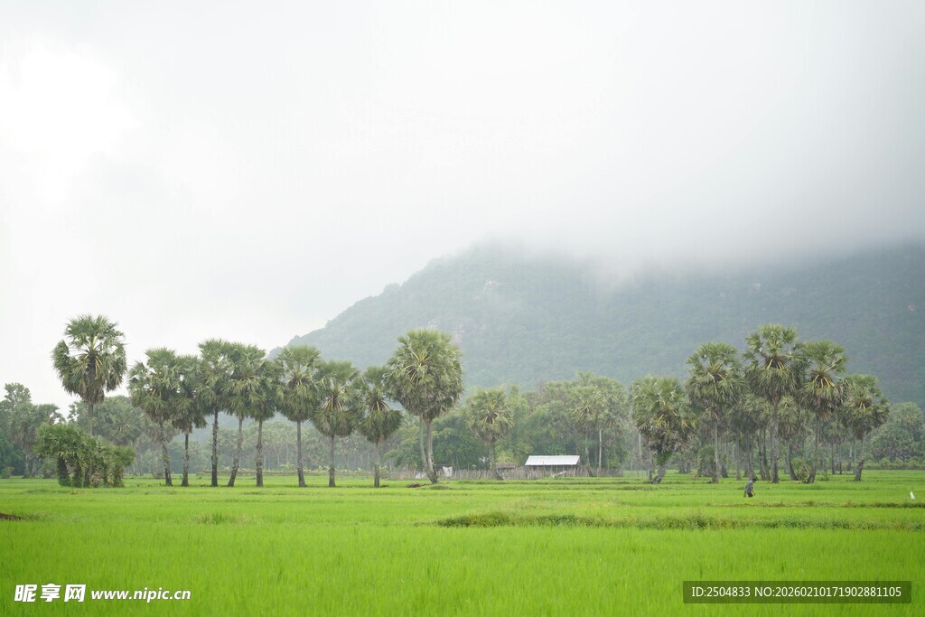 绿野山林间的静谧风光