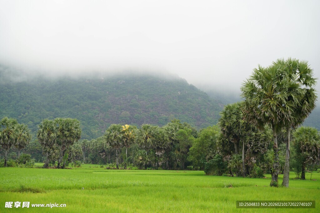 绿野山林间的清新景致