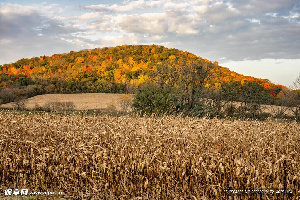 秋日田野与斑斓山坡景色