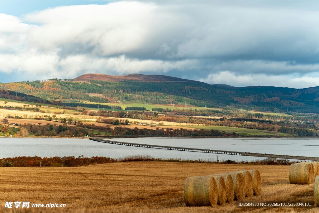 田野湖畔的金黄草垛美景