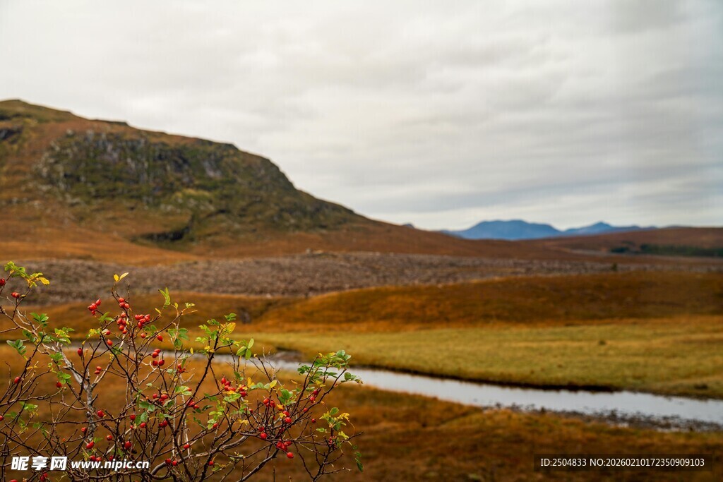 山间溪流旁的秋日美景