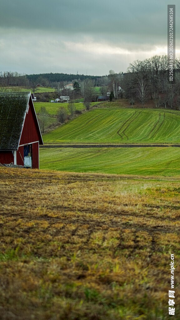 乡村田野中的红顶小屋