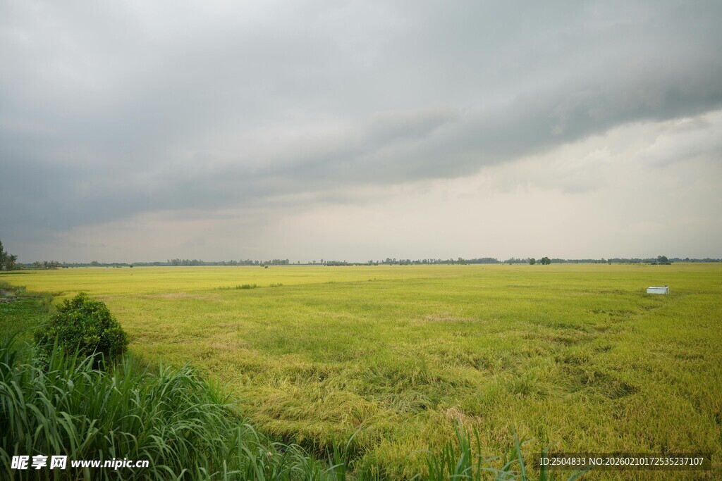 田野上空的 沉乌云