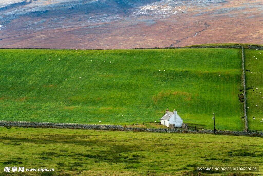 草原上的白色帐篷