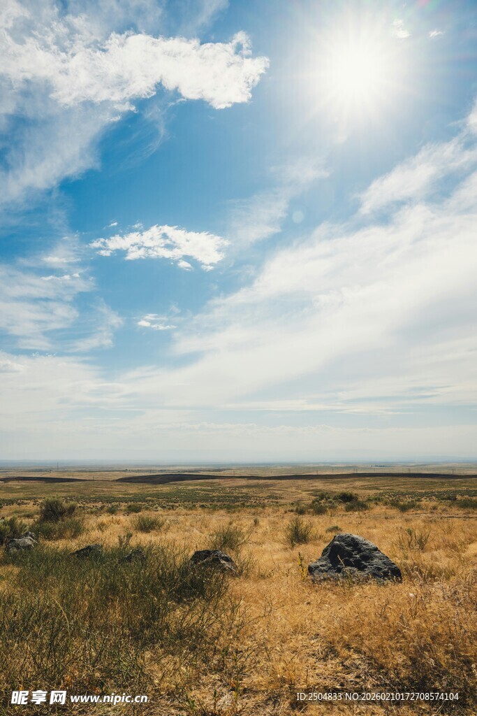旷野阳光风景图