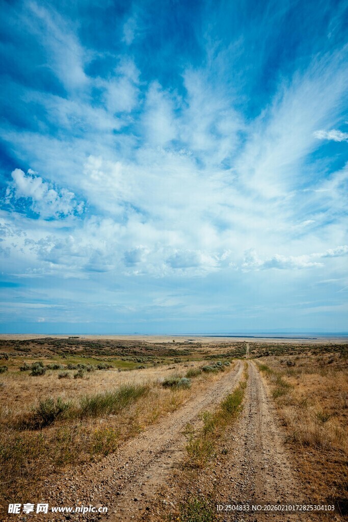 旷野中的蜿蜒土路
