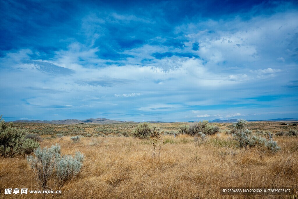 广袤原野上的蓝天白云