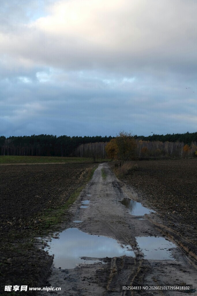 雨后泥泞的乡间小路