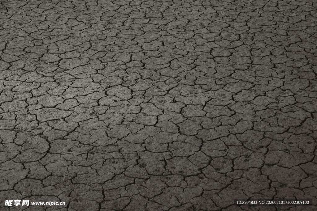 干裂地面纹理特写