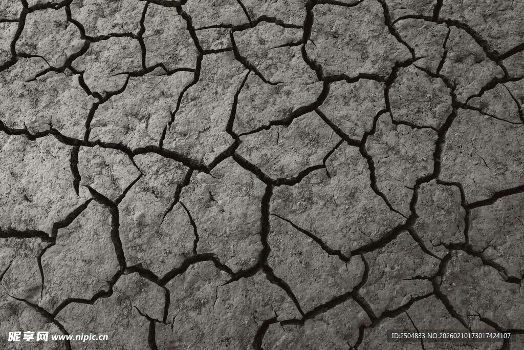 干裂的大地纹理