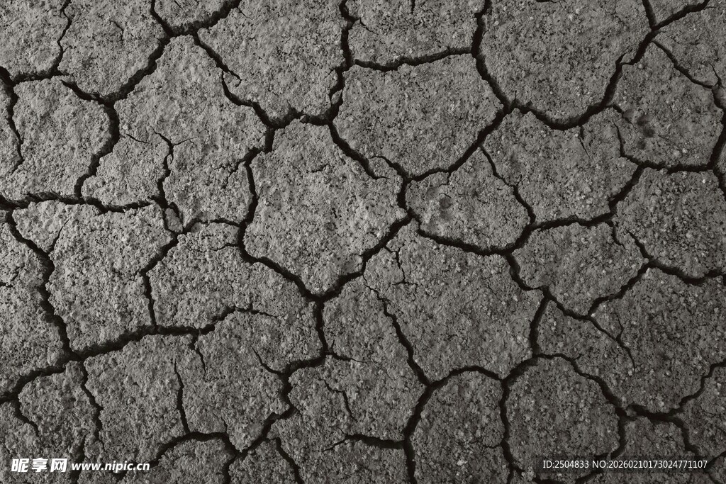 干裂土地纹理特写