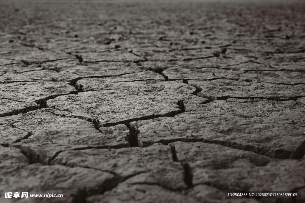 干裂土地景象