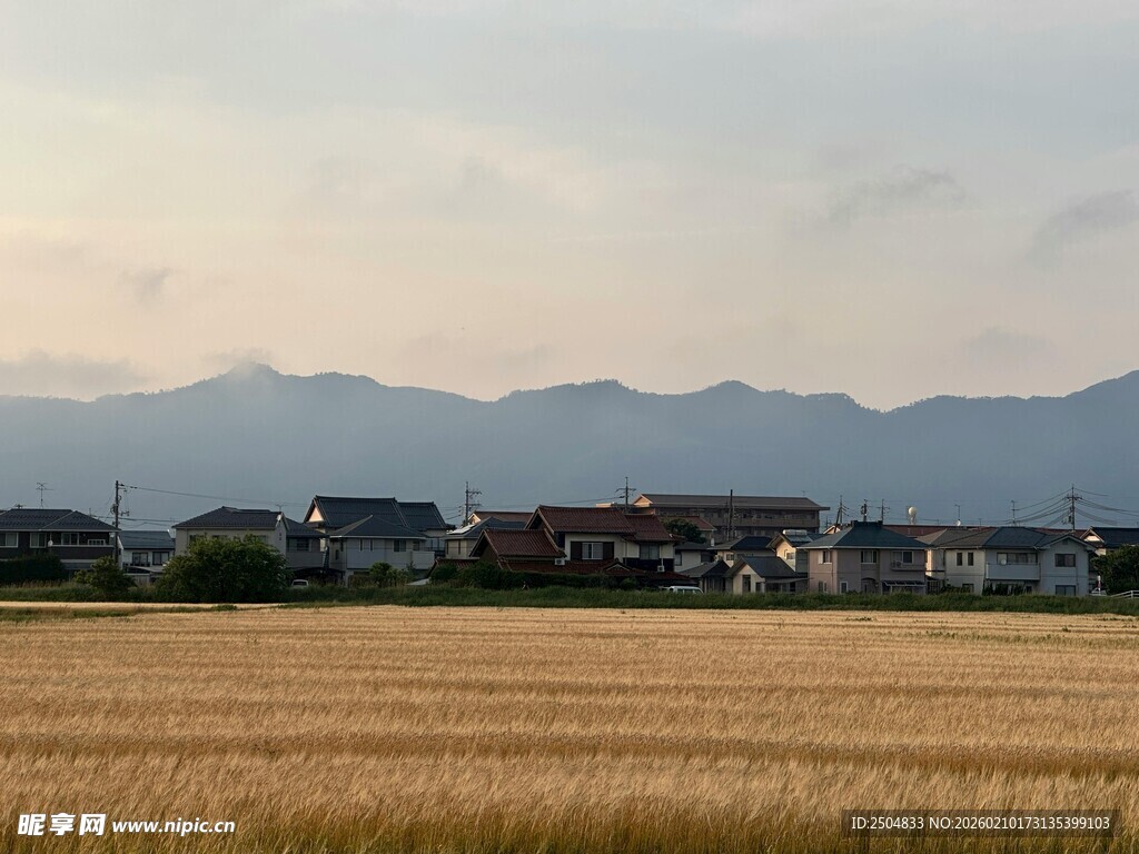 田野村庄与远山美景
