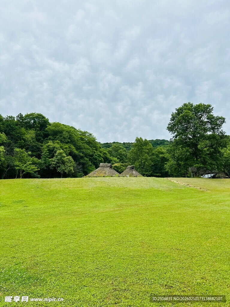 绿意盎然的开阔草地景观