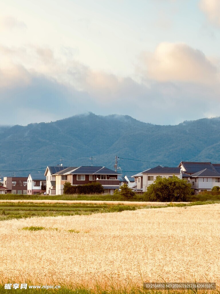 田野村庄与远山的景致