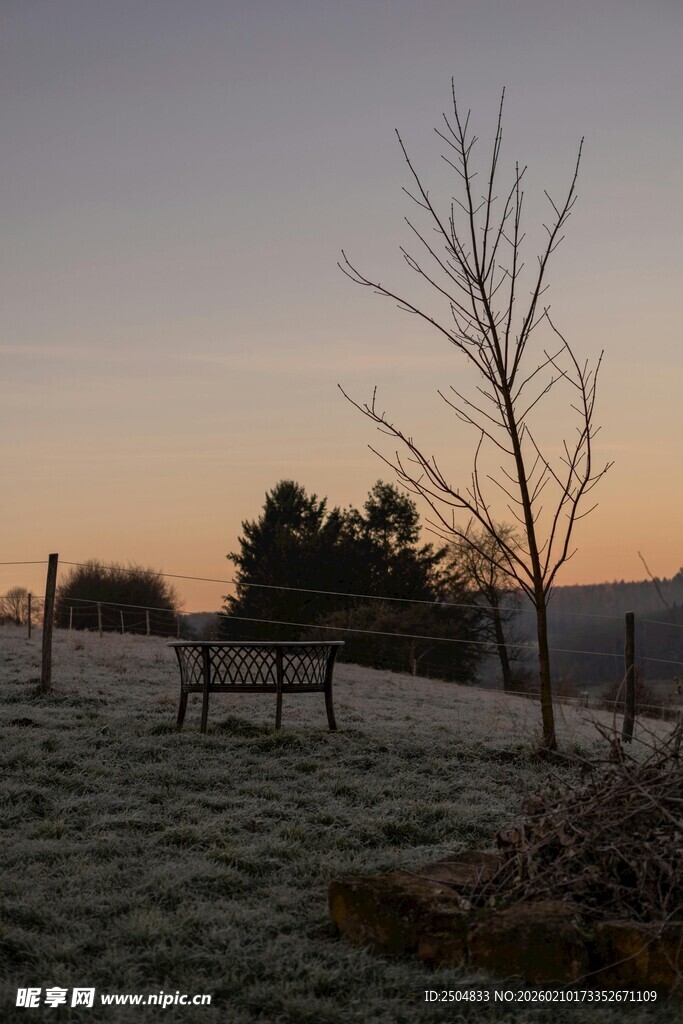 黄昏下的静谧草地与树木
