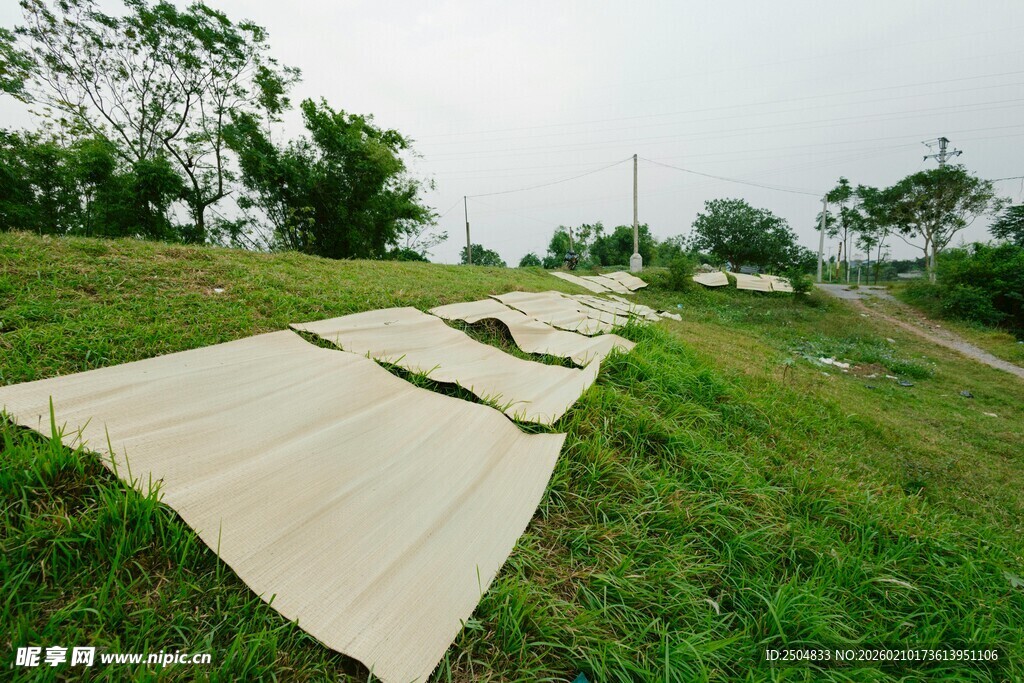 草地上晾晒的米色布料