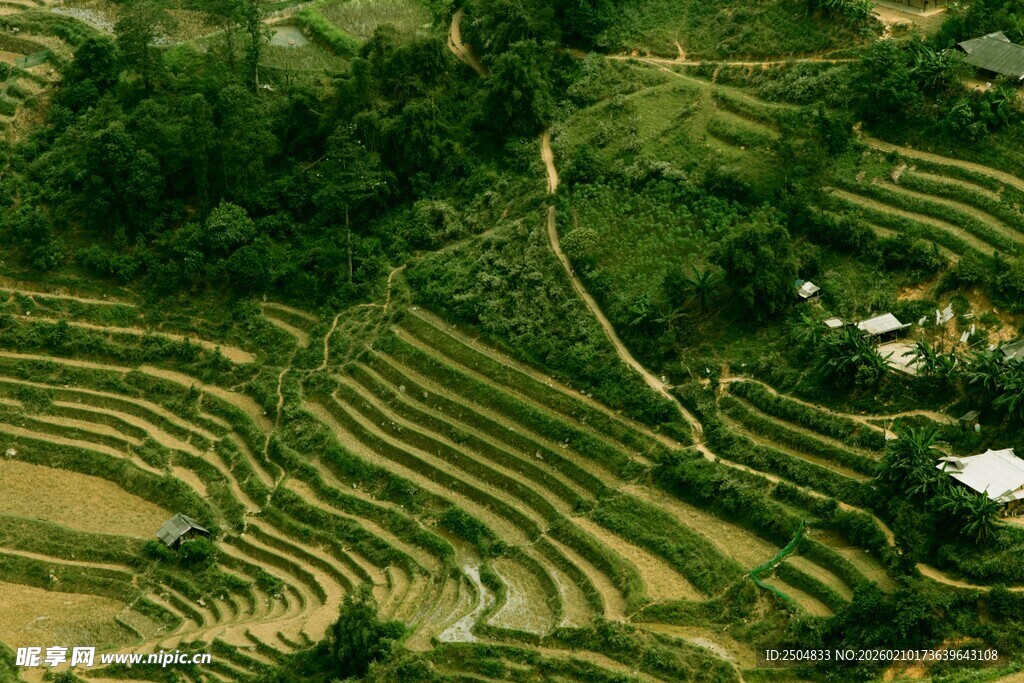 俯瞰美丽壮观的山间梯田