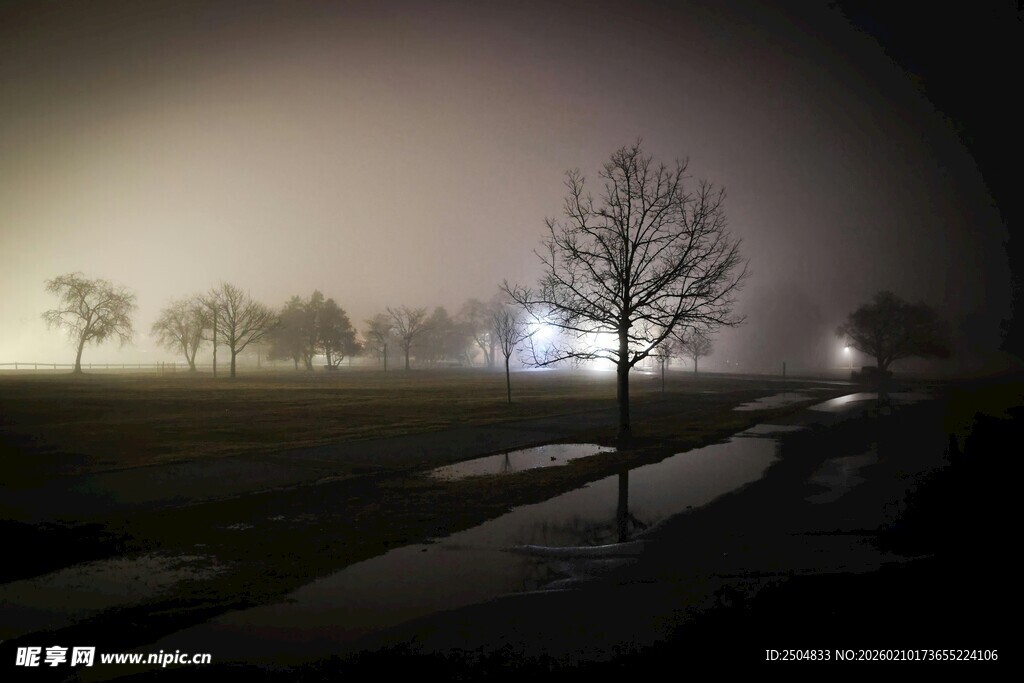 雾中夜景 孤树静立