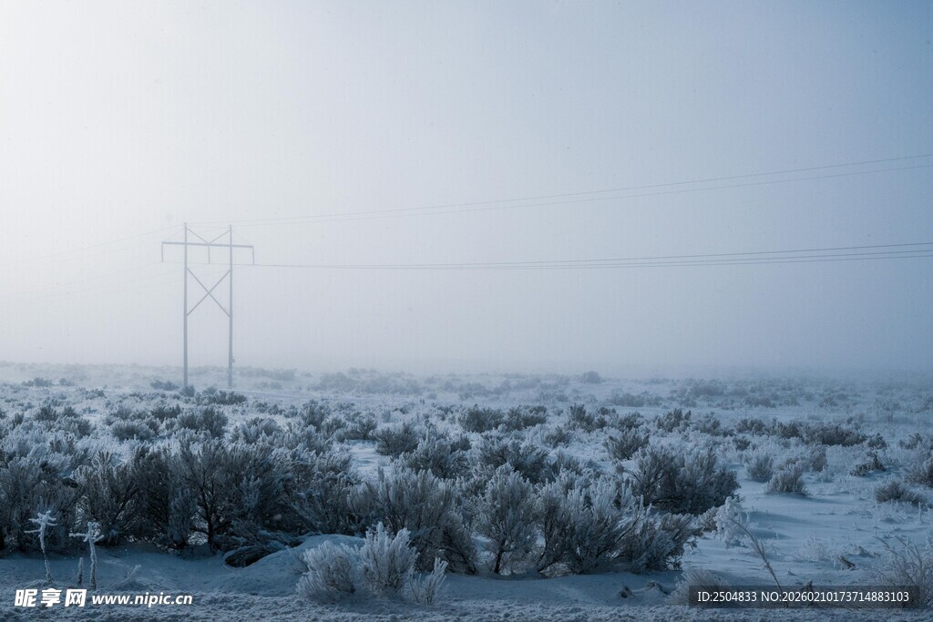 雪覆旷野中的输电线路