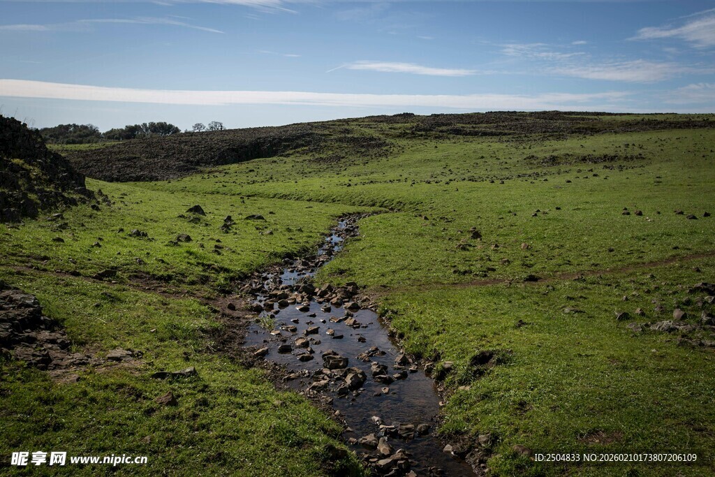 绿野中的蜿蜒小溪