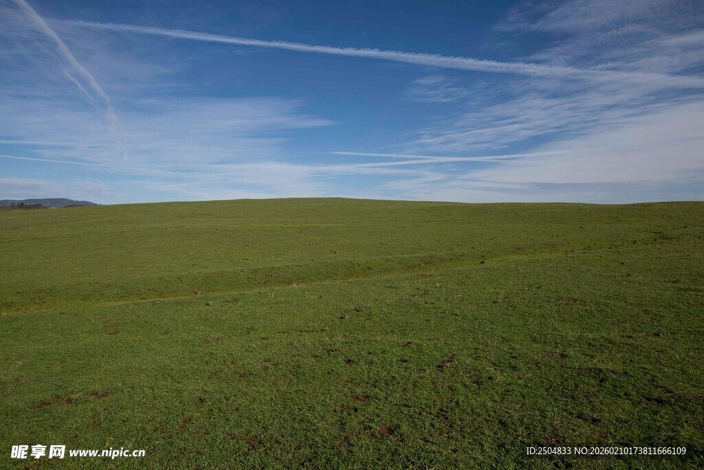 广袤绿野与蔚蓝天空